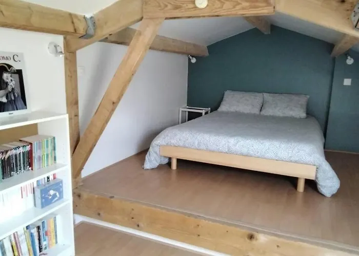 Le Du Fou 公寓 Mortagne-sur-Sevre